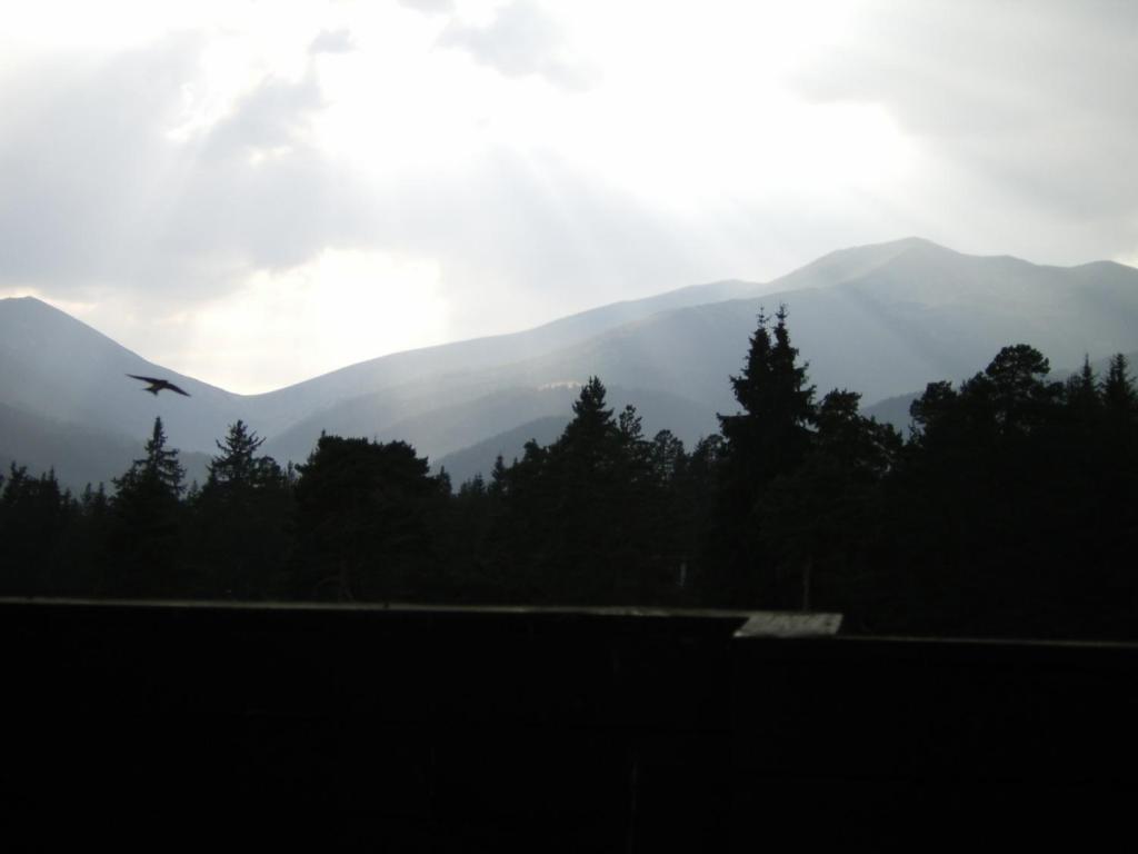 Bor Hotel Belitsa  Habitación foto